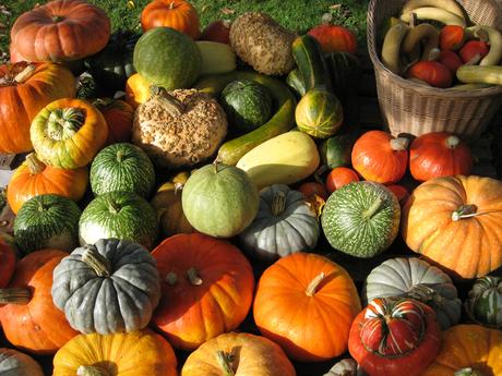 Ottobre, il mese della zucca- Gluten Free Travel and Living