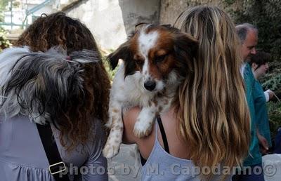 POSITANO: un progetto a salvaguardia della nostra salute e quella dei nostri amici animali - 2 parte.