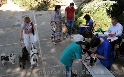 POSITANO: un progetto a salvaguardia della nostra salute e quella dei nostri amici animali - 2 parte.