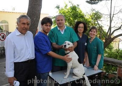 POSITANO: un progetto a salvaguardia della nostra salute e quella dei nostri amici animali - 2 parte.