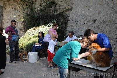 POSITANO: un progetto a salvaguardia della nostra salute e quella dei nostri amici animali - 2 parte.