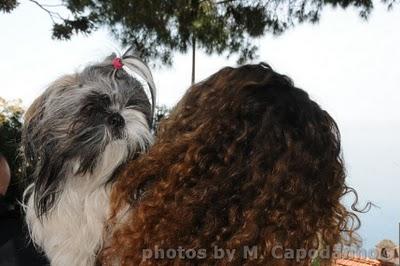 POSITANO: un progetto a salvaguardia della nostra salute e quella dei nostri amici animali - 2 parte.