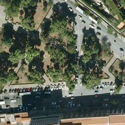 E tre! Florablog Contest: alberi monumentali, i Ficus macrophylla del Parco d’Orleans a Palermo