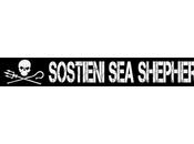 L'oceano, l'ecosistema