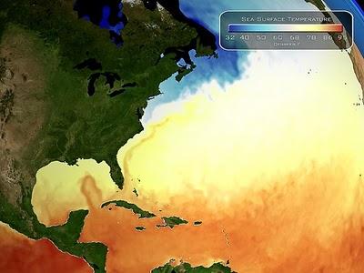 petrolio: cronaca di un disastro ambientale