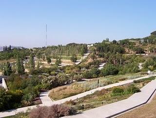 Jardin Botánico de Barcelona_happy weekend