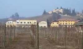 Centro enologo1 A Cantine Aperte partecipa anche il Centro per la Viticoltura, l’Enologia e la Grappa di Conegliano (Tv)