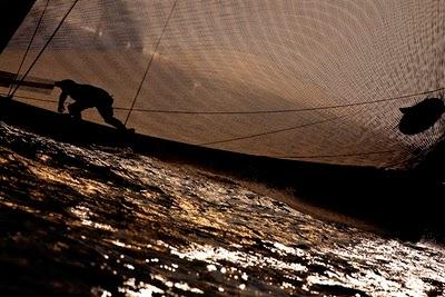 Vela - IL TEAM AZZURRA RESTA A TERRA