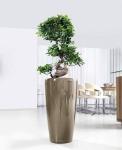 03 Rondo_a_rd40_perlbeige_ficus_bonsai