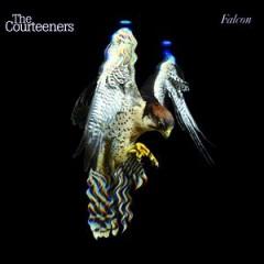 the courteeners falcon.jpg