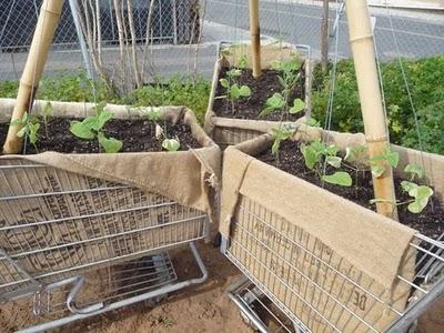 Urban gardening