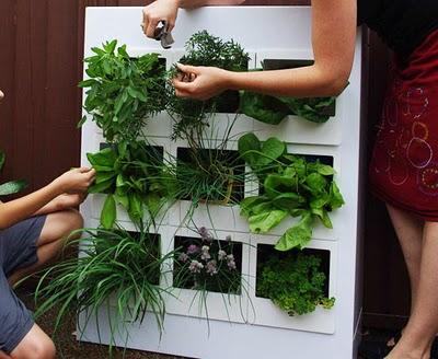 Indoor Gardening: the URB Garden