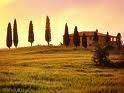 Italian courses move! Juni-October 2010
