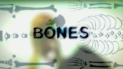 Bones (2005) stagione