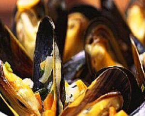 cozze-alla-birra.jpg