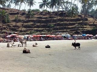 Nelle Spiagge del Salento leccese uomini e donne di spettacolo Russe, Cinesi e Indiane: una opportunità di nuovi mercati per l’agroalimentare del Sale