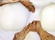 Cannibali Pleistocene