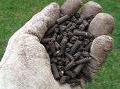 Concimi naturali, stallatico