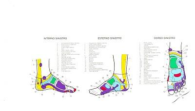 TUTTI RIFLESSI DEL CORPO  SUI NOSTRI PIEDI: