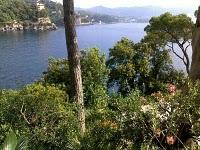 Dolce & Gabbana a Portofino