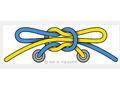great british knot experiment