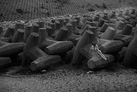 THE PROPHET... by Baldovino Barani