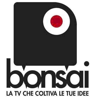 BONSAI TV & SUBBUTEO!