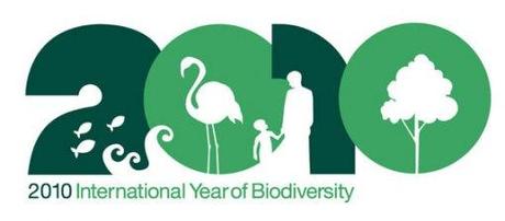 Il 2010 e la biodiversità.