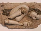 qualche milione anni