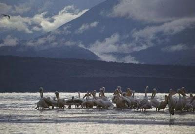 Omo river