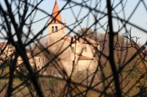 Leader TGS: appuntamento a Torreglia!