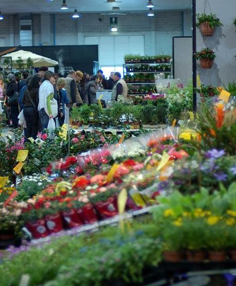 Mattinata in fiera: brevepersonaleresoconto