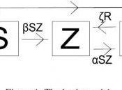 Zombie Math