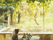 Ispirazioni provenzali