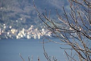 Prepariamo la pelle alla bella stagione!