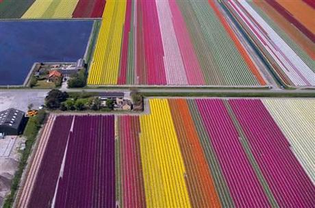 Il 21 marzo e i campi di tulipani: buona primavera a tutti!