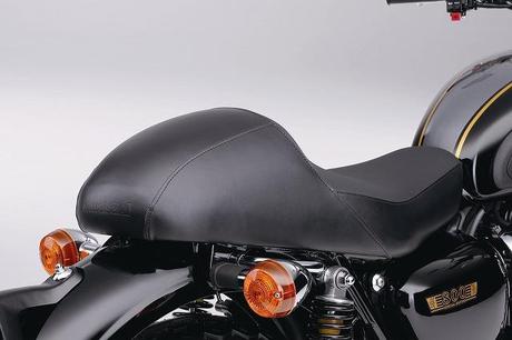 W800 Cafe Style nel nostro garage ?