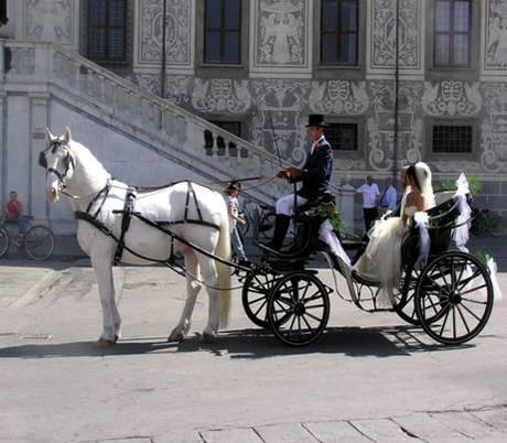 http://www.passioneventi.it/wp-content/uploads/2008/11/matrimonio-in-carrozza.jpg