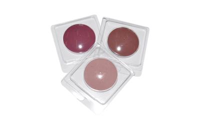 bivalve so cool blush e bivalve color light eyeshadow 2