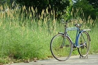 Esplorando la Slovenia in bicicletta