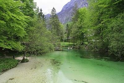 Slovenia, alcuni fatti 'verdi'