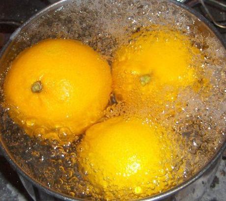 Rotolo con farcitura di arance, light