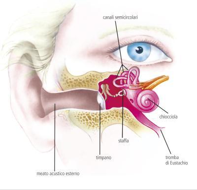 non c’è peggior sordo di chi ha l’otite
