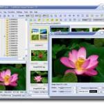 Visualizzatore di immagini gratuito: FastStone Image Viewer.