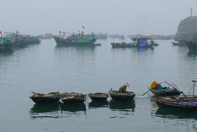Vietnam del nord - Hanoi, Sapa, Ha Long bay