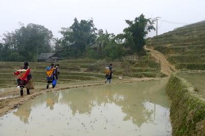 Vietnam del nord - Hanoi, Sapa, Ha Long bay