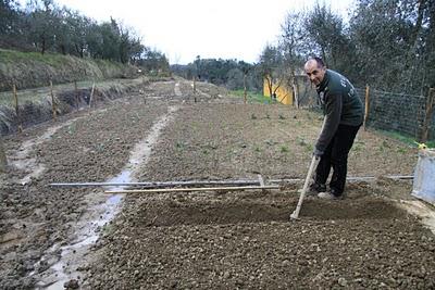 i diari dell'orto, le fragole