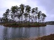 Rifiuti scarti umani crearono isolette delle Everglades