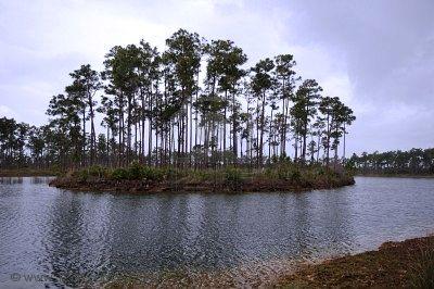 florida everglades