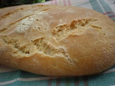 Ciabatta con licoli e gli albumi del panettone